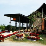 Hua Hin Hill Vineyard