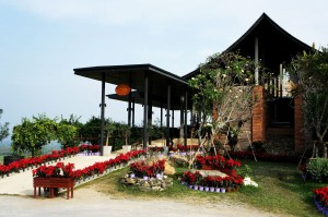 Hua Hin Hill Vineyard