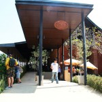 Hua Hin Hill Vineyard