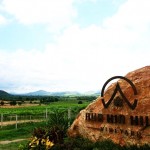 Hua Hin Hill Vineyard
