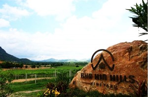 Hua Hin Hill Vineyard